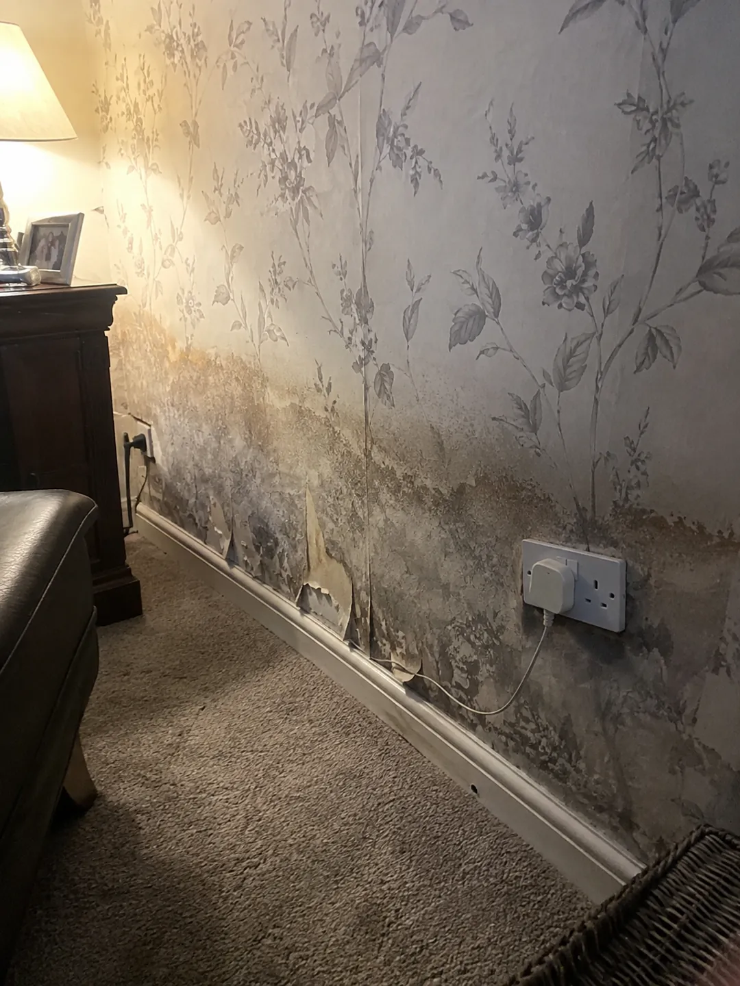 Lounge wall with damp and mould spreading up from the skirting and peeling wallpaper
