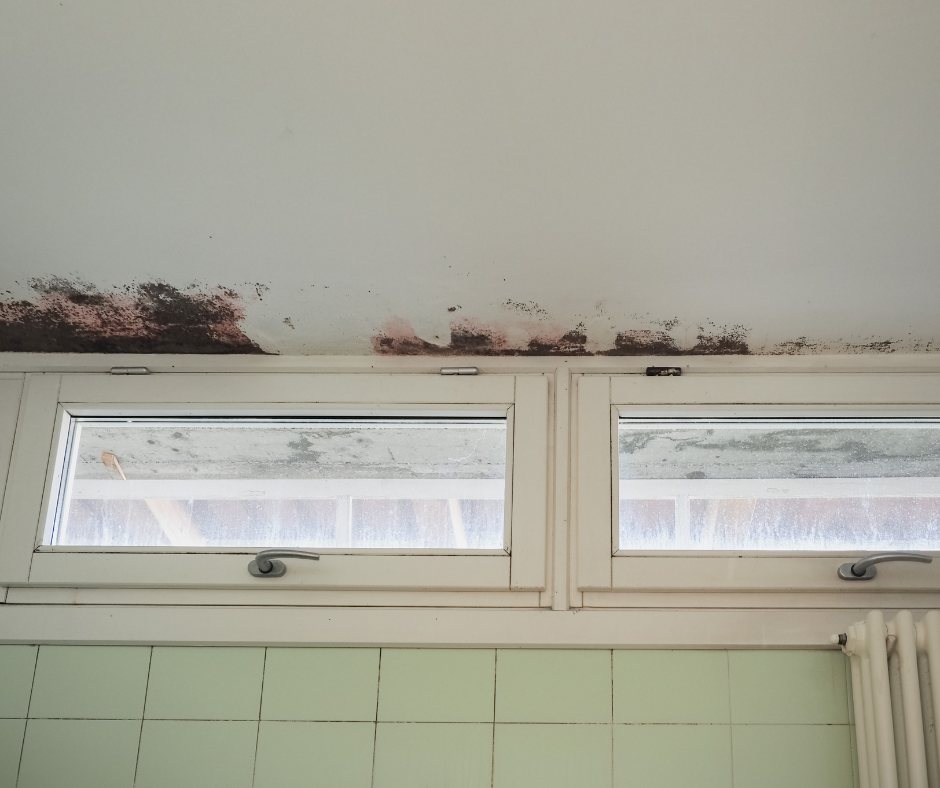 Condensation-driven mould forming in a ceiling corner