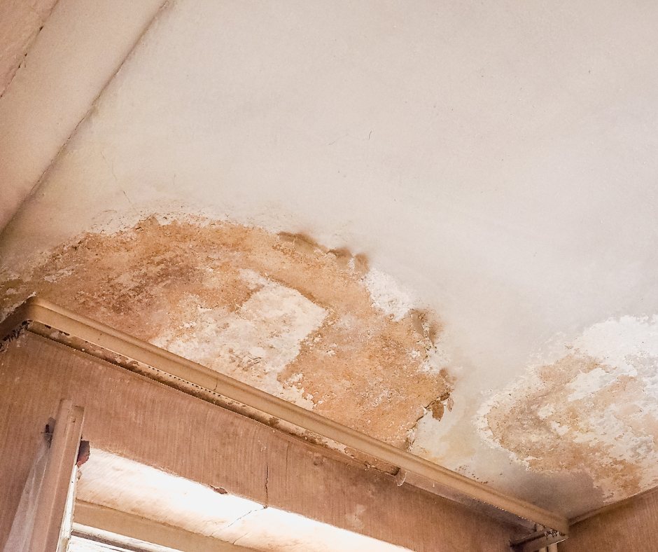 Damp and mould affecting the corner of an occupied room