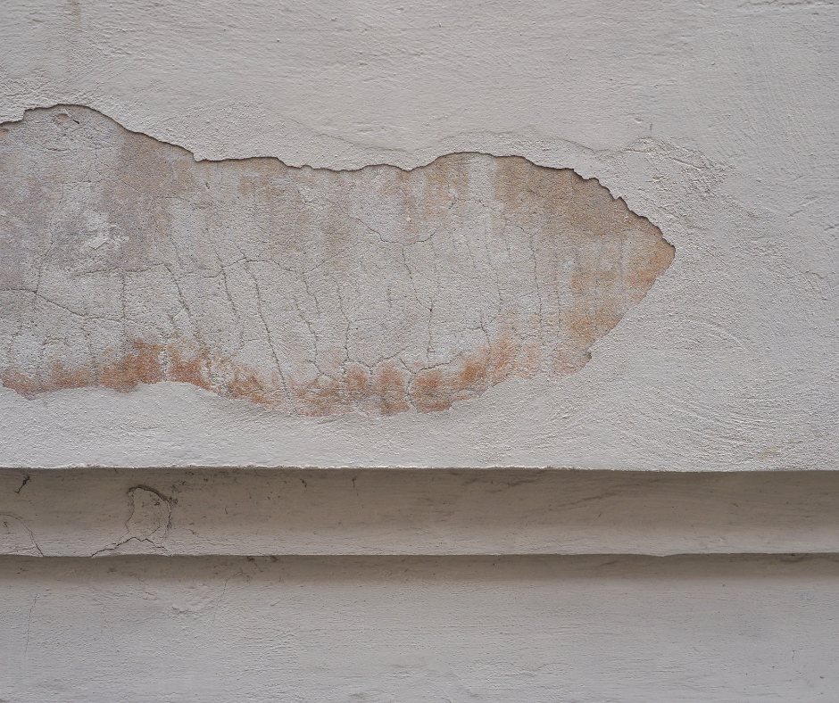 Damp patch investigated in a Ferndown property
