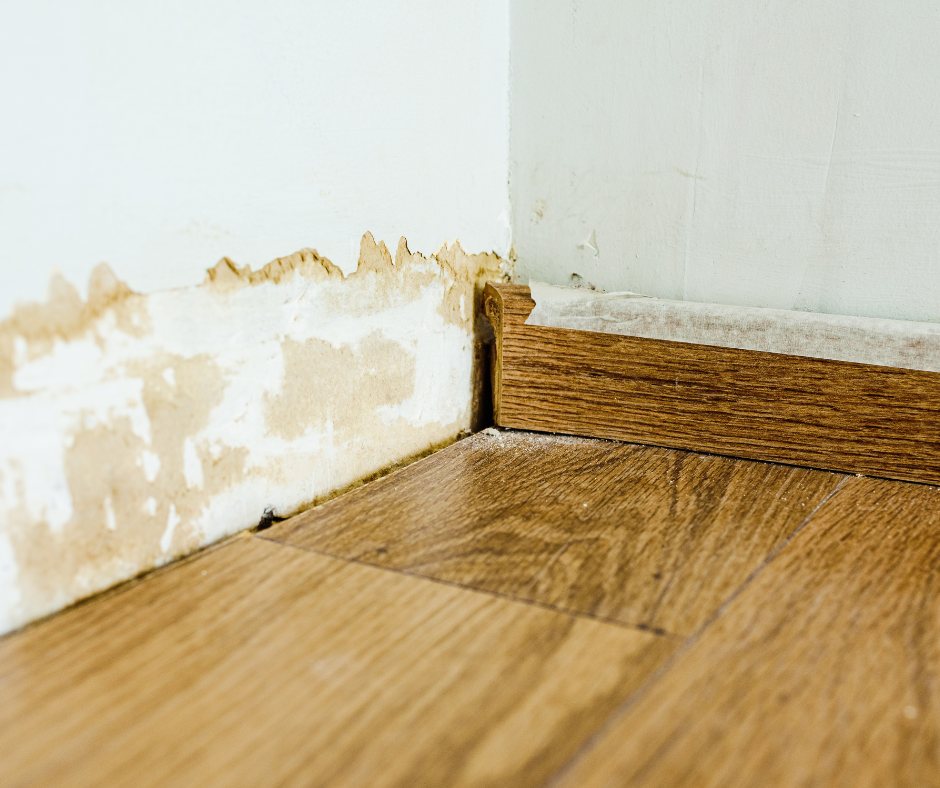 Damp patch on an internal wall associated with cavity bridging
