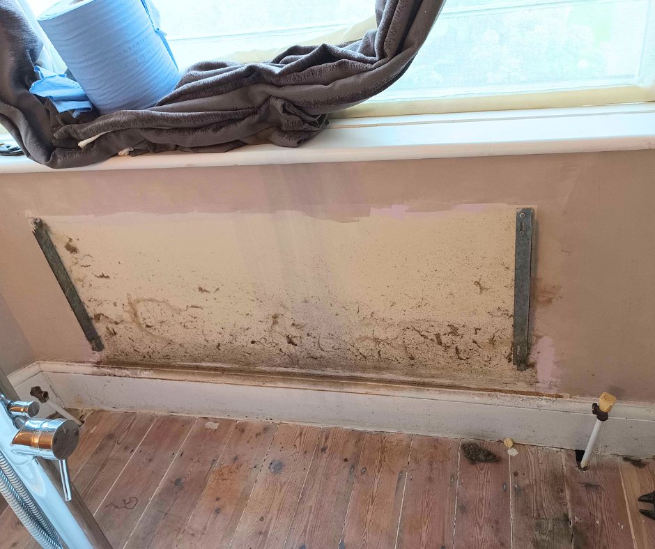 Damp revealed behind a removed section of plaster