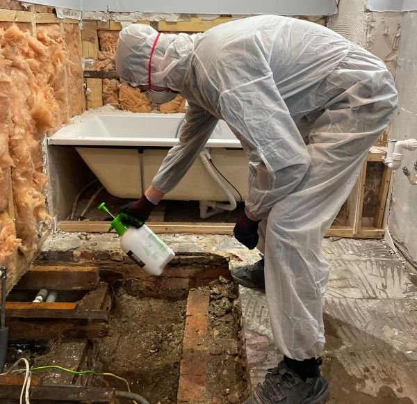 Controlled mould remediation in progress