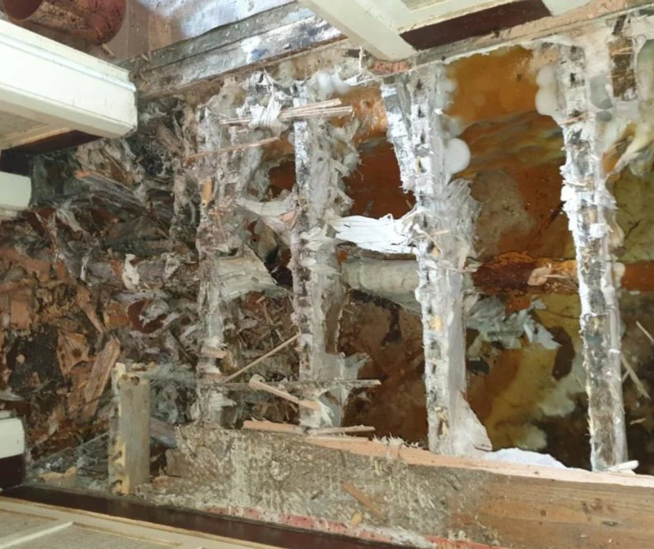 Exposed timber decay investigated in a Salisbury property